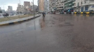 فرص أمطار خفيفة.. طقس الجمعة 2025 على السواحل ونشاط رياح في المناطق